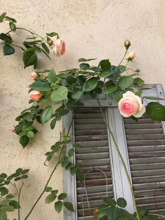 Appartement L'Amelier Αβινιόν Εξωτερικό φωτογραφία